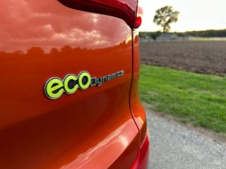 /photos/12539/417a0f33-0709-70ad-a8ef-ac91c86949fa_i320x240.jpg